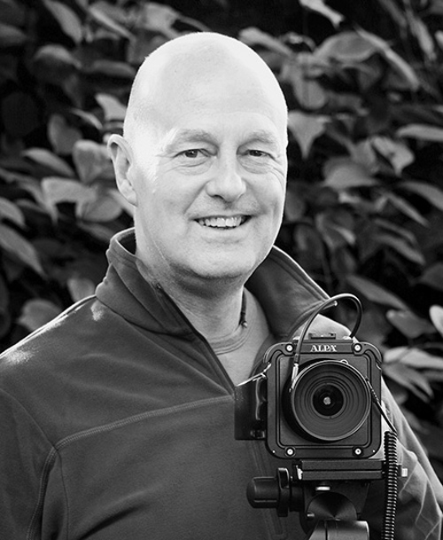 Steve Gosling
